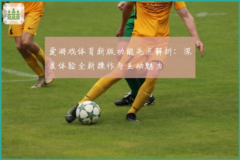 爱游戏体育新版功能亮点解析：深度体验全新操作与互动魅力